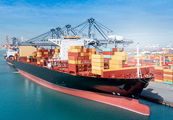 Cargo Shipment